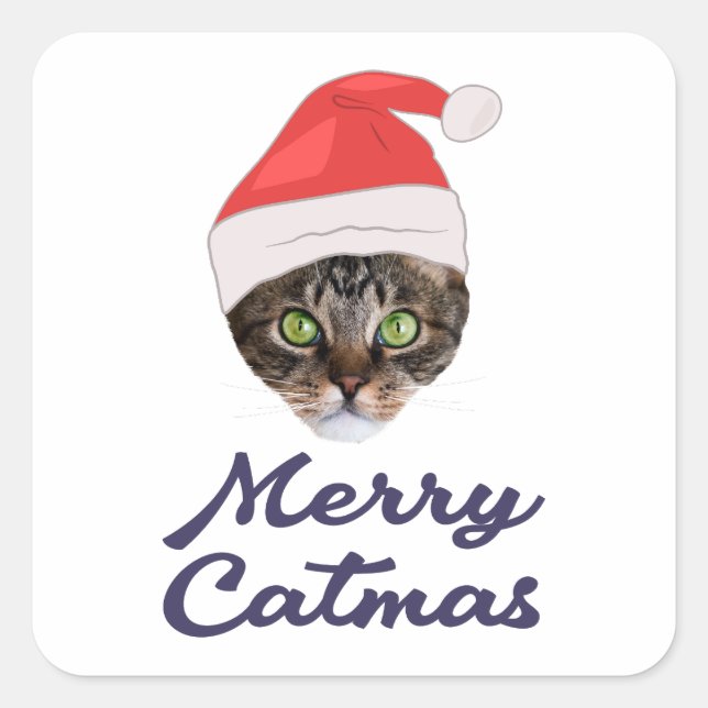 Merry Catmas, Christmas Cat Santa hat Invitation Square Sticker (Front)