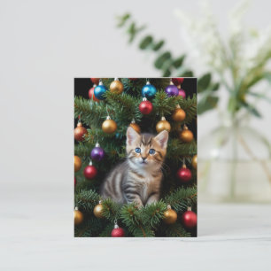 MERRY CATMAS HOLIDAY CARD