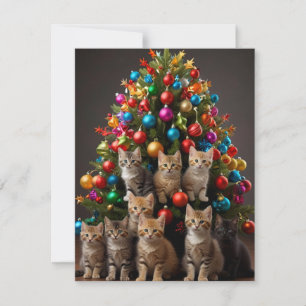 MERRY CATMAS HOLIDAY CARD