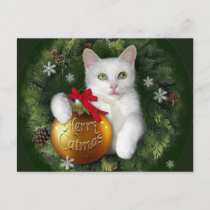 Merry Catmas Holiday Postcard