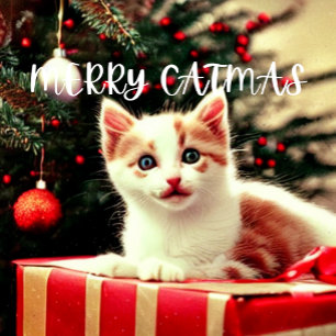 Merry Catmas Purrfect Christmas Card