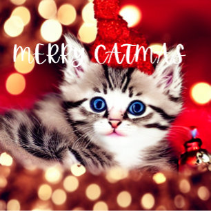 Merry Catmas Purrfect Christmas Stocking