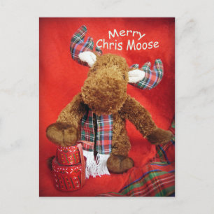 Merry Chris Moose Holiday Postcard