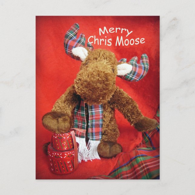 Merry Chris Moose Holiday Postcard (Front)