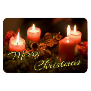 Merry Christmas and a Happy New Year! Magnet