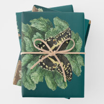 Merry Christmas and Happy New Year  