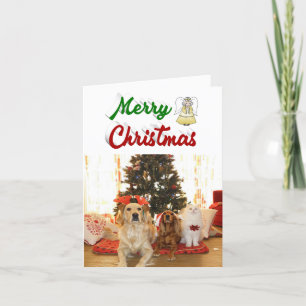 Merry Christmas Angel photo red green script Holiday Card