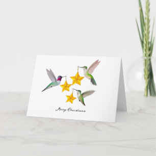 Merry Christmas Anna's Hummingbirds and Stars Holiday Card