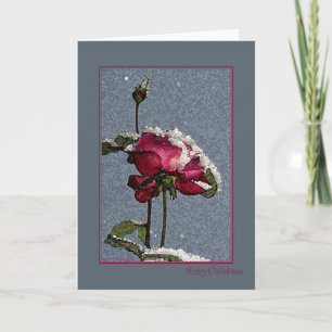 Merry Christmas - artsy red rose with snow Holiday Card