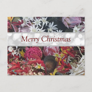 Merry Christmas Australian Native Flowers Postcard