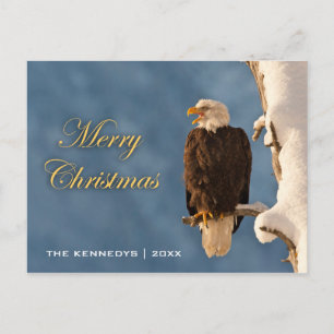 Merry Christmas - Bald eagle perched on - Alaska Holiday Postcard
