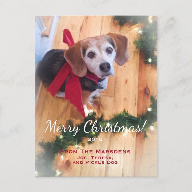 Merry Christmas Beagle Customizable Holiday (Front)