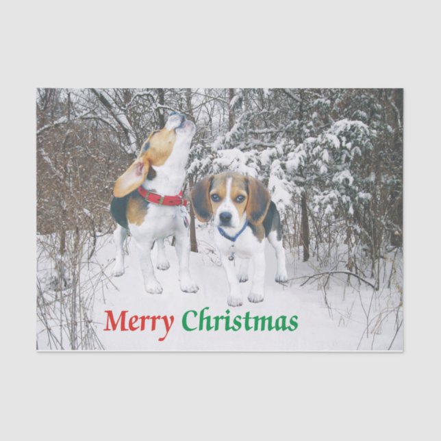 Merry Christmas Beagle Pups in Woods Tissue Paper (Front)