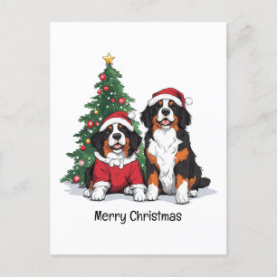 Merry Christmas Bernese Mountain Dogs Holiday Postcard