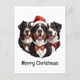 Merry Christmas Bernese Mountain Dogs Postcard