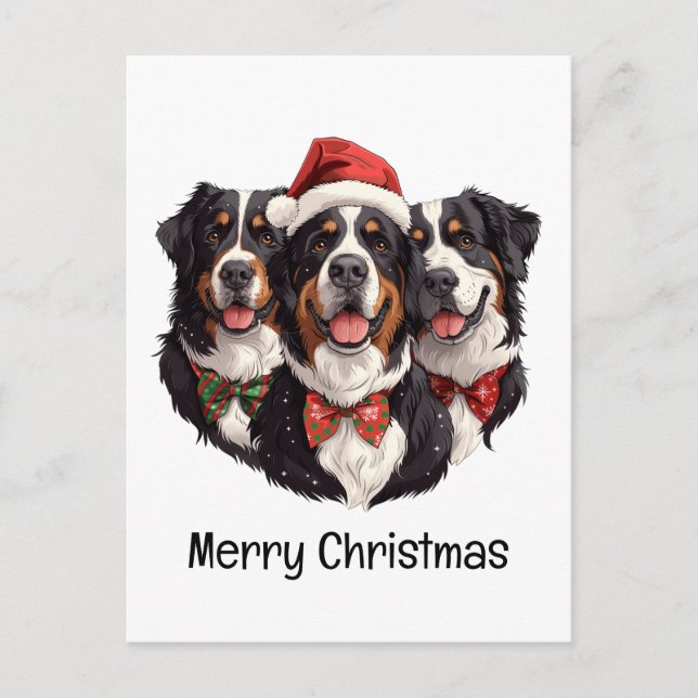 Merry Christmas Bernese Mountain Dogs Postcard (Front)