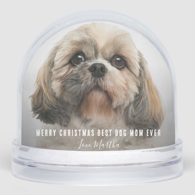 Merry Christmas Best Dog Mom Ever Photos Snowglobe (Front)