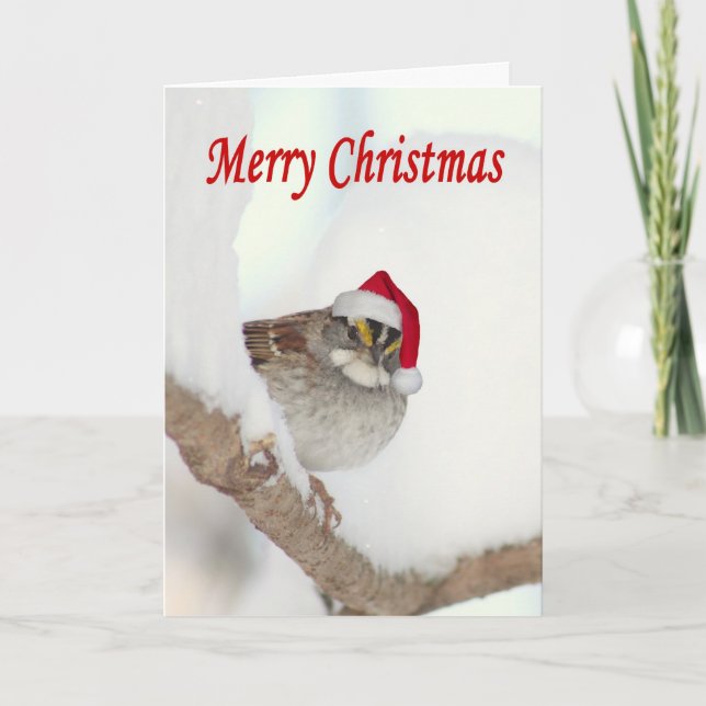 Merry Christmas bird with Santa hat greeting card (Front)