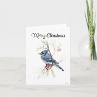 Merry Christmas Blue Jay Holiday Card
