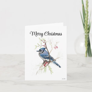 Merry Christmas Blue Jay Holiday Card