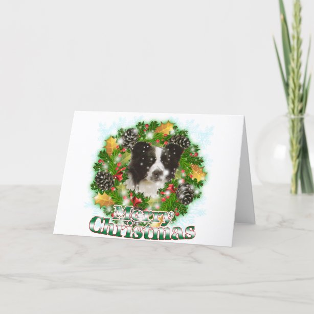 Border Collie Christmas Cards | Zazzle CA