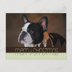 Merry Christmas Boston Terrier Dog Postcard