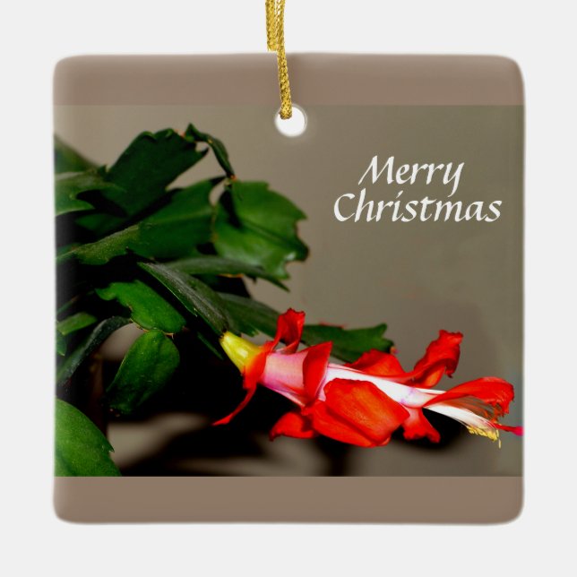 Merry Christmas Cactus Ceramic Ornament (Front)