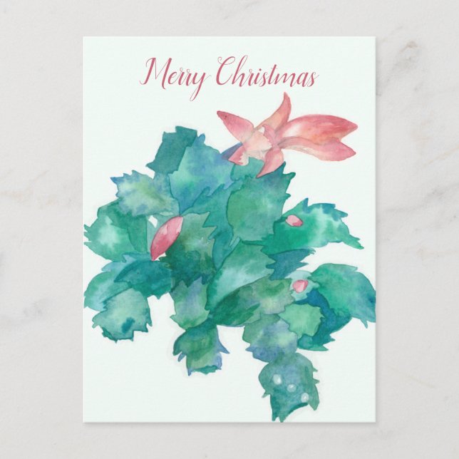 Merry Christmas Cactus Flowering Plant Holiday Postcard (Front)