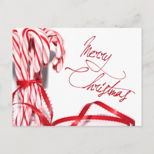 Merry Christmas Candy Canes Postcard
