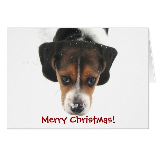 Merry Christmas! Card