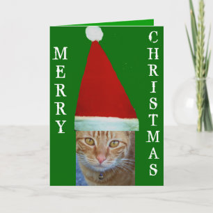 Merry Christmas_Card Holiday Card