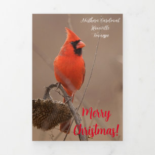 "Merry Christmas" Card with Cardinal