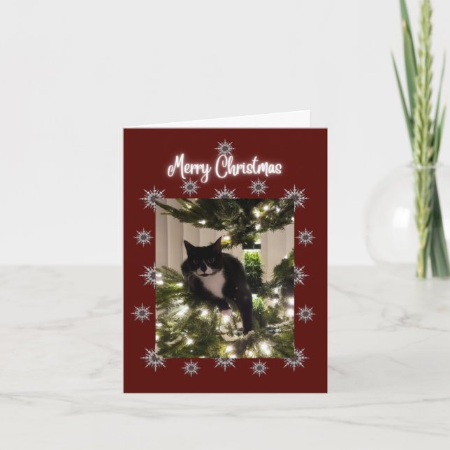 Merry Christmas card with Tuxedo cat on my tree. (Front)