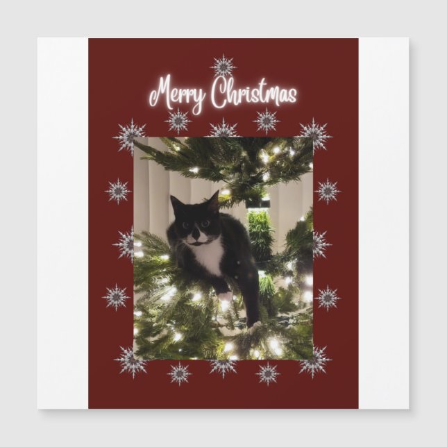 Merry Christmas card with Tuxedo cat on my tree. (Front)