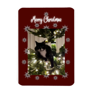 Merry Christmas card with Tuxedo cat on my tree. Magnet