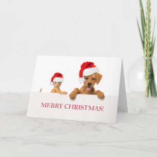 MERRY CHRISTMAS Carte de voeux CHIEN ET CAT