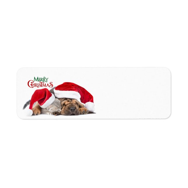 Merry Christmas cat and dog (Front)