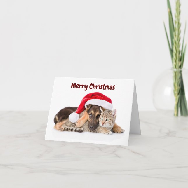 Merry Christmas Cat and Dog holiday card (Front)