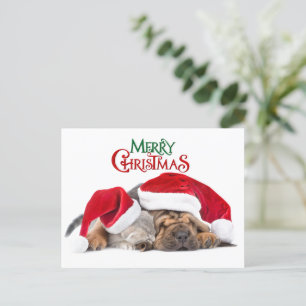 Merry Christmas cat and dog Holiday Postcard