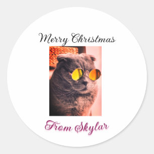 Merry Christmas cat dog pet animal love photo Classic Round Sticker
