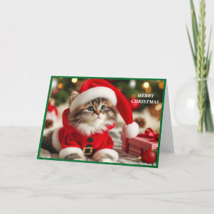Merry Christmas Cat Holiday Card