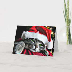 Merry Christmas Cat Holiday Card