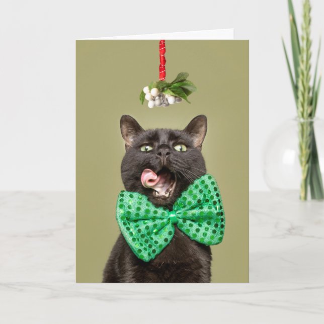 Merry Christmas Cat in Bow Tie Under Mistletoe Holiday Card (Front)
