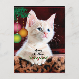 Merry Christmas Cat Ornament Postcard
