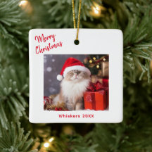 Merry Christmas Cat Photo Holiday