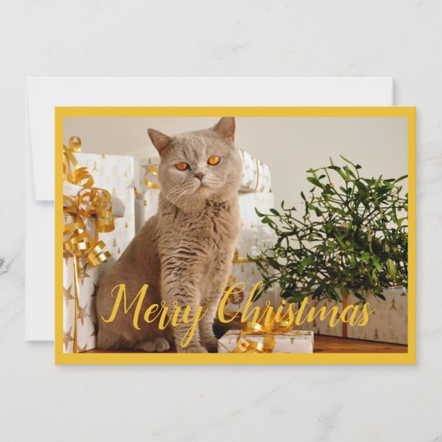 Merry Christmas Cat Photo Season Greetings Holiday Card (Front)