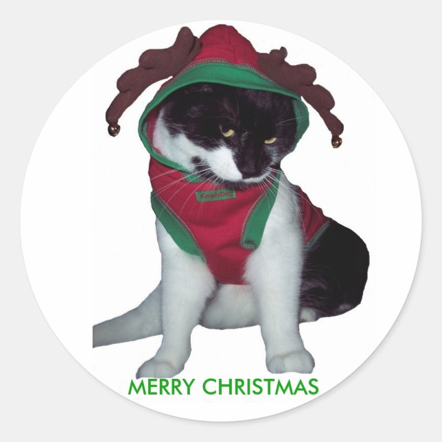 MERRY CHRISTMAS CAT STICKER (Front)