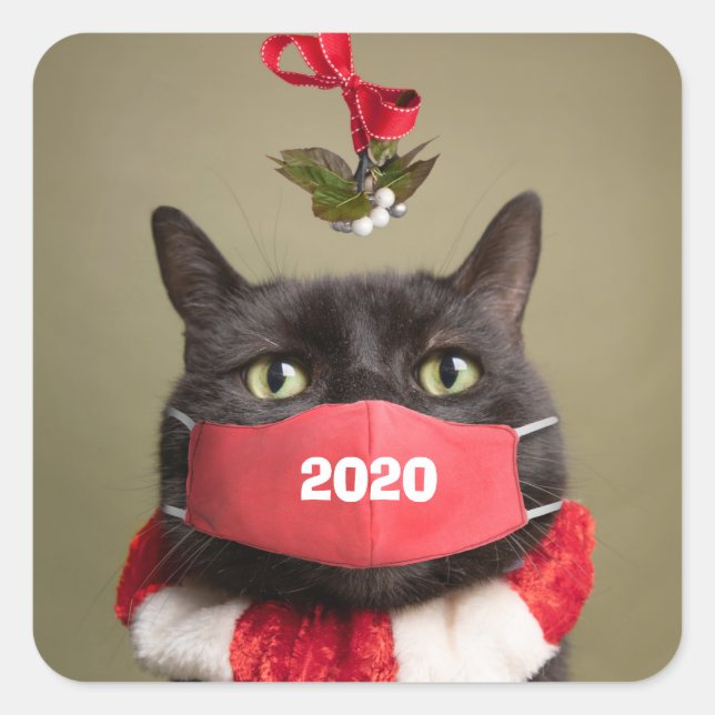 Merry Christmas Cat Under Mistletoe in Face Mask Square Sticker (Front)