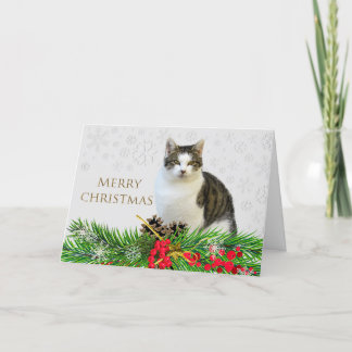 Merry Christmas Cat with Greenery Holiday Card