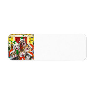 Merry Christmas Cats Holiday address label